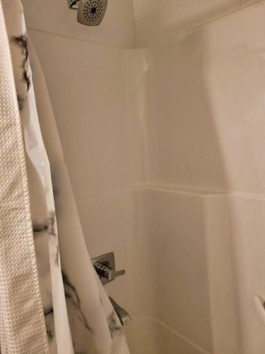 Furnished 1 Bedroom In East Village By Signature Suites Ltd Calgary Zewnętrze zdjęcie